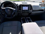 2019 F-150 Thumbnail 14