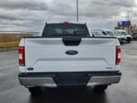 2019 F-150 Thumbnail 4
