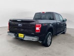 2019 F-150 Thumbnail 3