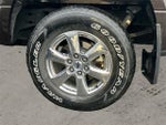 2019 F-150 Thumbnail 9