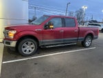 2020 F-150 Thumbnail 4