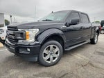2019 F-150 Thumbnail 3