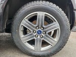 2019 F-150 Thumbnail 9