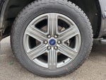 2019 F-150 Thumbnail 10