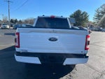 2021 F-150 Thumbnail 10