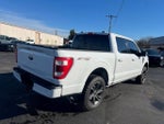 2021 F-150 Thumbnail 12