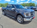 2021 F-150 Thumbnail 8