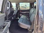 2021 F-150 Thumbnail 11
