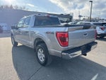 2021 F-150 Thumbnail 5