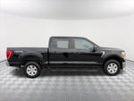 2021 F-150 Thumbnail 4