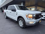 2021 F-150 Thumbnail 1