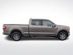 2021 F-150 Thumbnail 9
