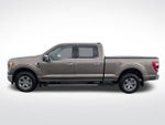 2021 F-150 Thumbnail 13
