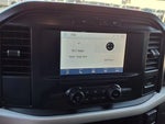 2021 F-150 Thumbnail 5