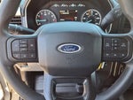 2021 F-150 Thumbnail 10