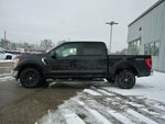 2021 F-150 Thumbnail 4