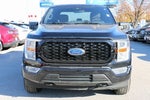 2021 F-150 Thumbnail 3