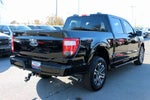 2021 F-150 Thumbnail 5