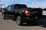 2021 F-150 Thumbnail 7