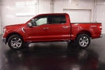 2021 F-150 Thumbnail 4