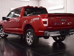 2021 F-150 Thumbnail 5