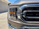 2022 F-150 Thumbnail 11