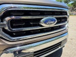 2022 F-150 Thumbnail 13