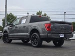 2022 F-150 Thumbnail 14