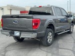 2022 F-150 Thumbnail 3