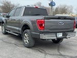 2022 F-150 Thumbnail 6
