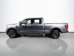 2022 F-150 Thumbnail 4