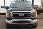 2022 F-150 Thumbnail 2