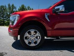 2023 F-150 Thumbnail 4