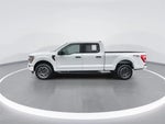 2023 F-150 Thumbnail 5