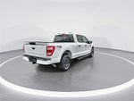 2023 F-150 Thumbnail 8