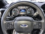 2023 F-150 Thumbnail 14
