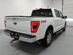 2023 F-150 Thumbnail 3