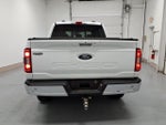 2023 F-150 Thumbnail 4