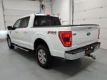 2023 F-150 Thumbnail 5