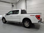 2023 F-150 Thumbnail 6