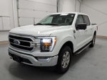 2023 F-150 Thumbnail 7