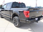2023 F-150 Thumbnail 7