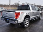 2023 F-150 Thumbnail 14