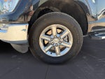 2023 F-150 Thumbnail 14