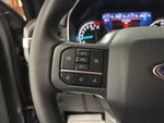 2023 F-150 Thumbnail 13