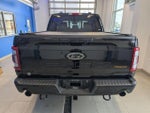 2023 F-150 Thumbnail 6