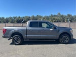 2023 F-150 Thumbnail 4