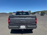 2023 F-150 Thumbnail 6