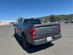 2023 F-150 Thumbnail 7