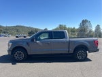 2023 F-150 Thumbnail 8